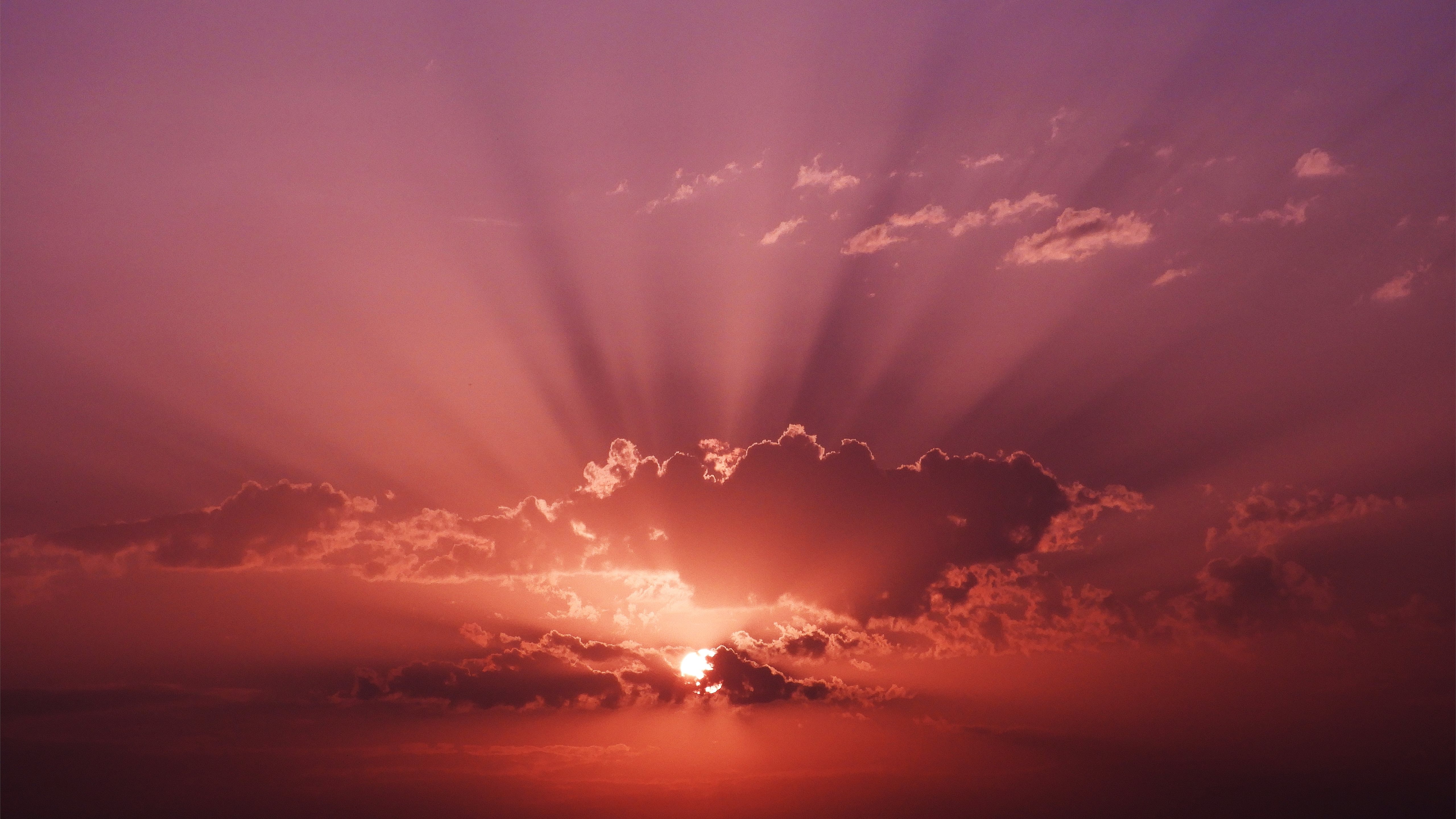 Wallpaper - HD Wallpaper 