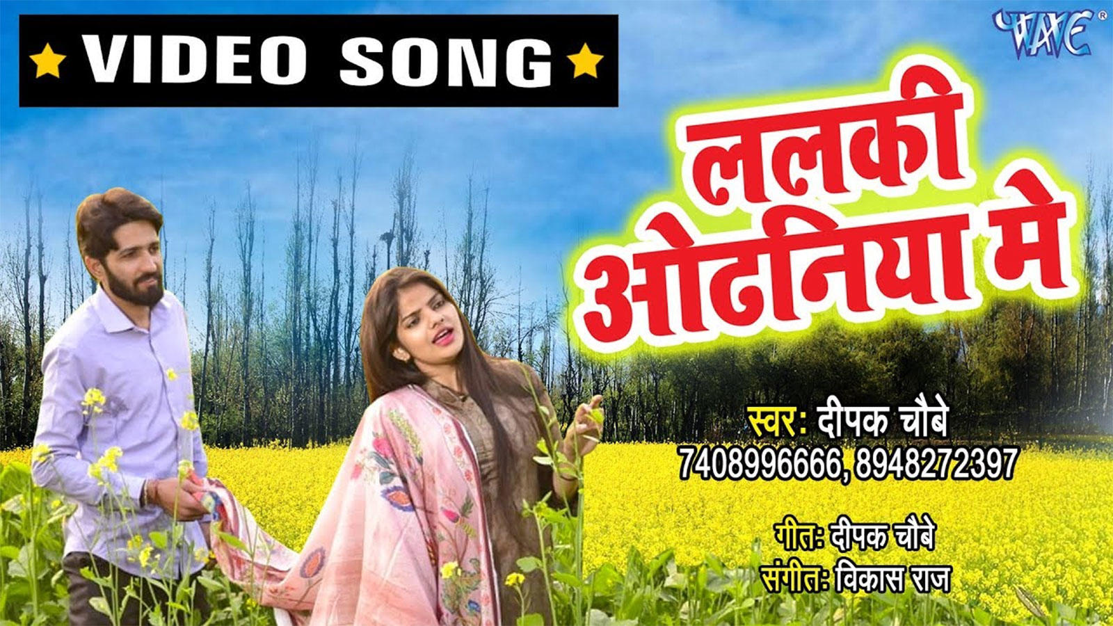 Wildflower - HD Wallpaper 