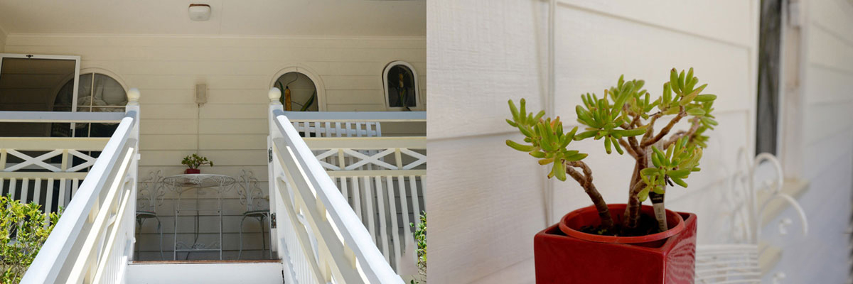 Wallpaper Supplier In Pune - Flowerpot - HD Wallpaper 