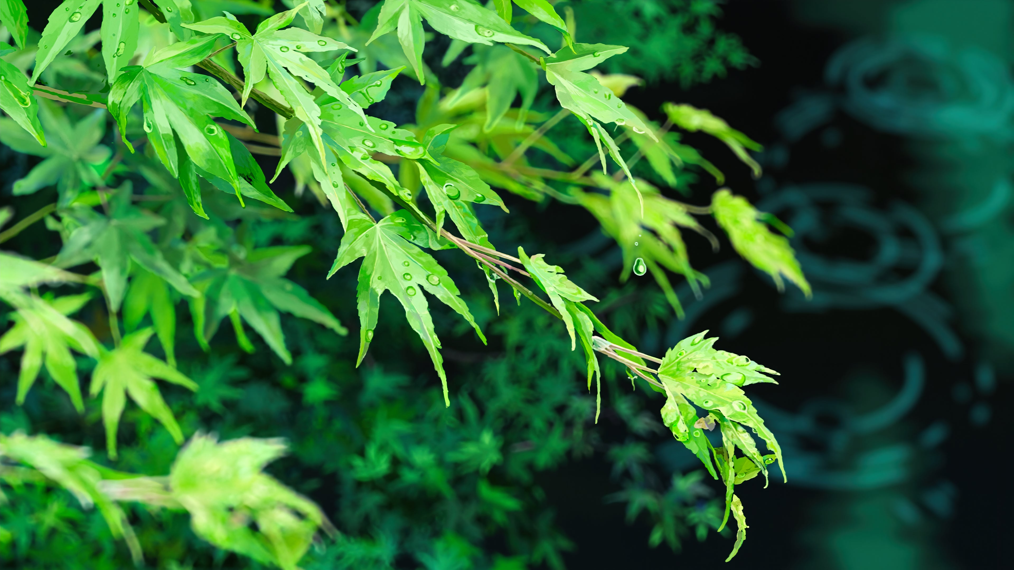 Tree Leaves Wallpaper - HD Wallpaper 