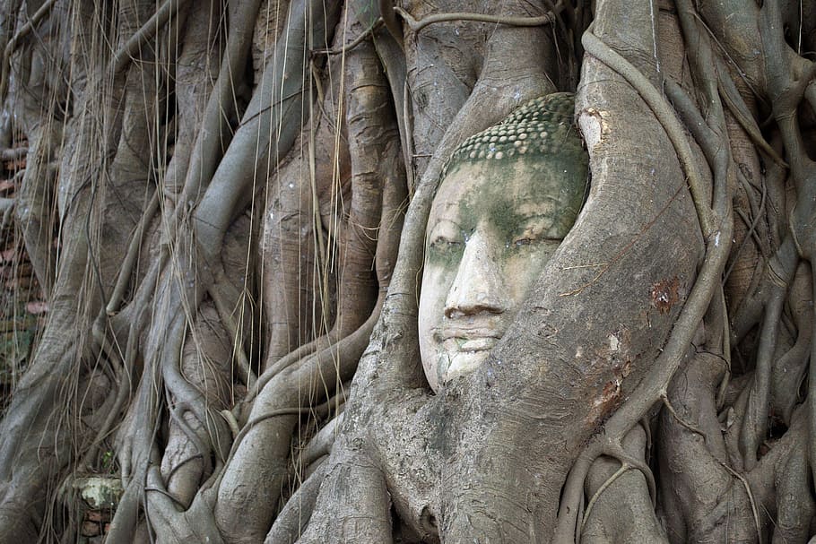 Ayutthaya Kingdom - HD Wallpaper 