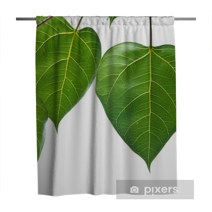 Dog Shower Curtain - HD Wallpaper 