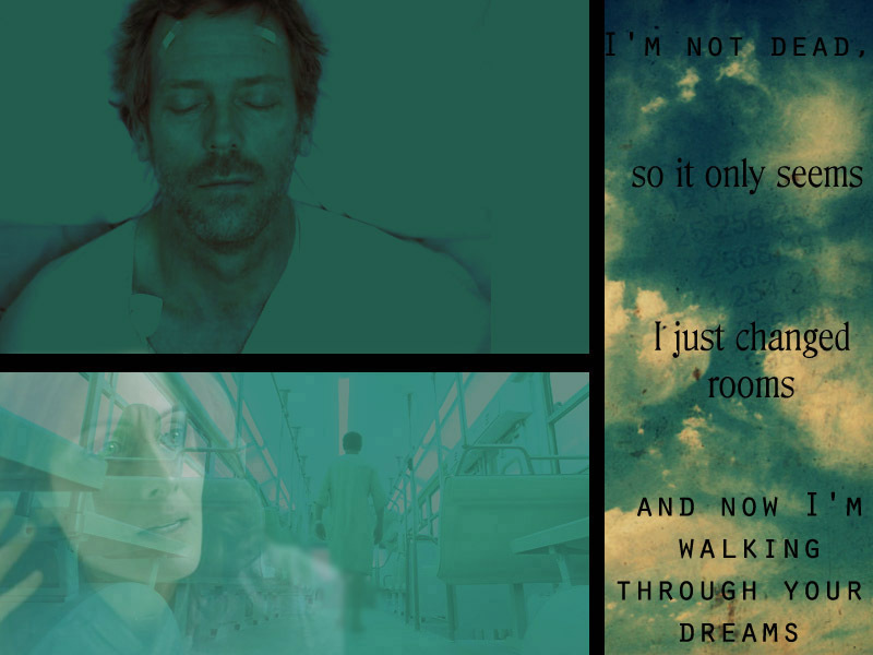 Huddy - House Md Wilson's Heart Quotes - HD Wallpaper 