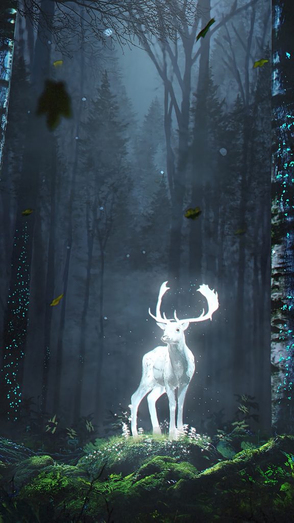 White Deer In Forest - HD Wallpaper 