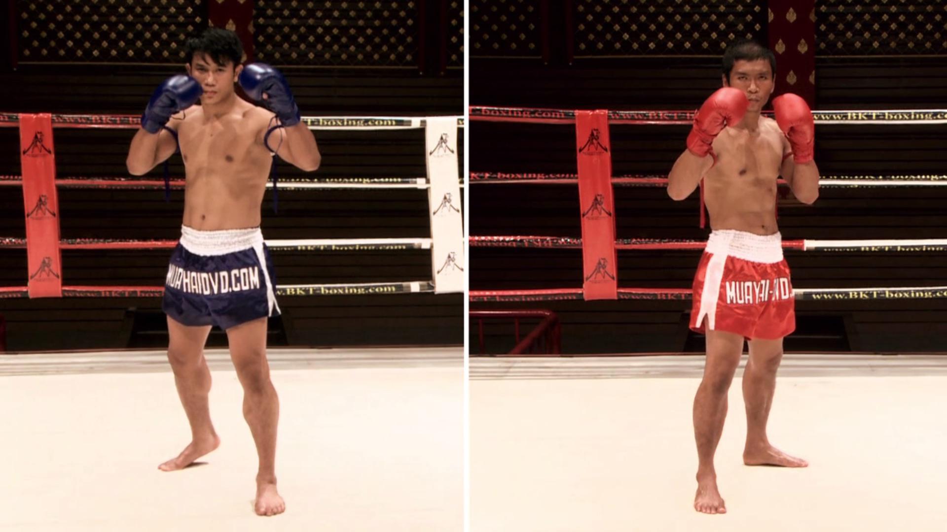 Professional Boxing - HD Wallpaper 