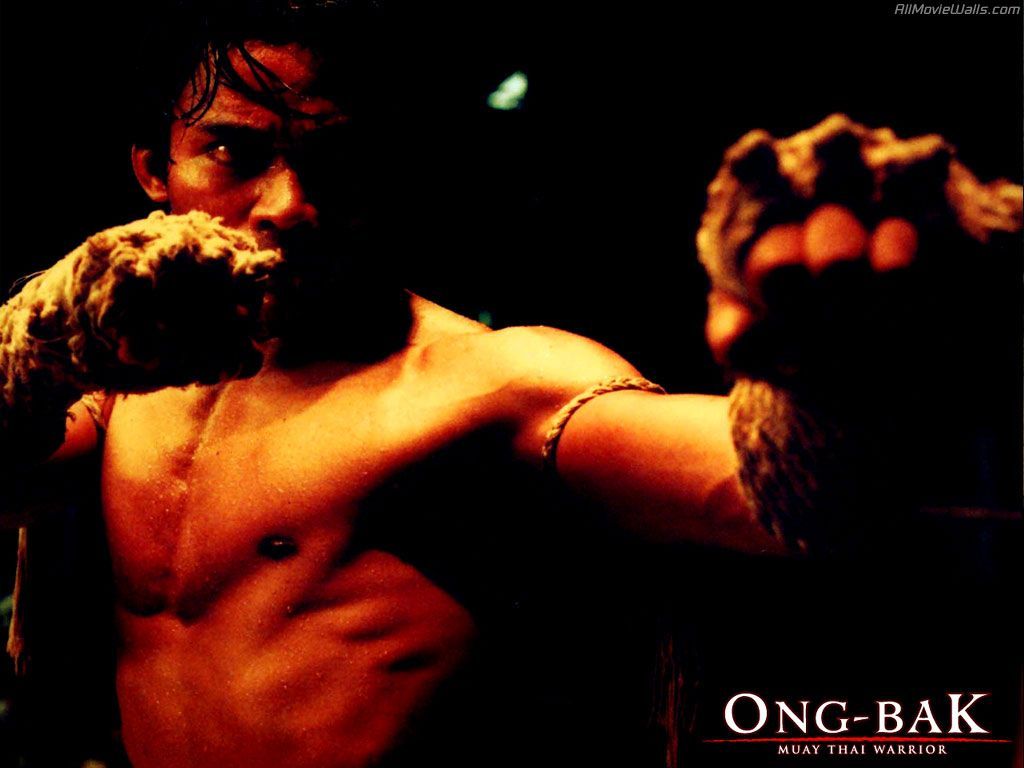 By Ursula Moralee Wallpaper For Iphone - Ong Bak - HD Wallpaper 
