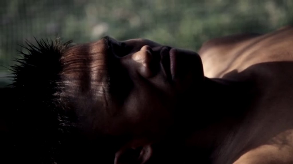 Horse - HD Wallpaper 