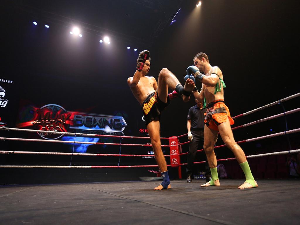 Sanshou - HD Wallpaper 