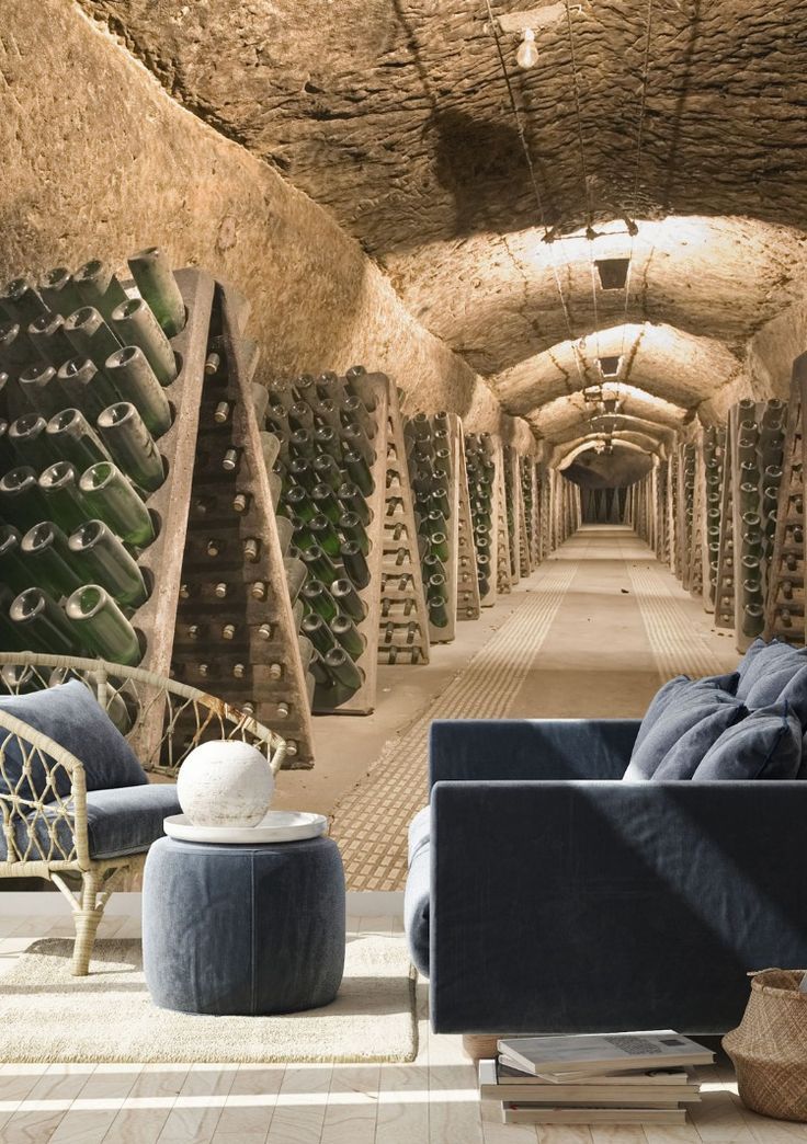 Wine Vineyard - HD Wallpaper 