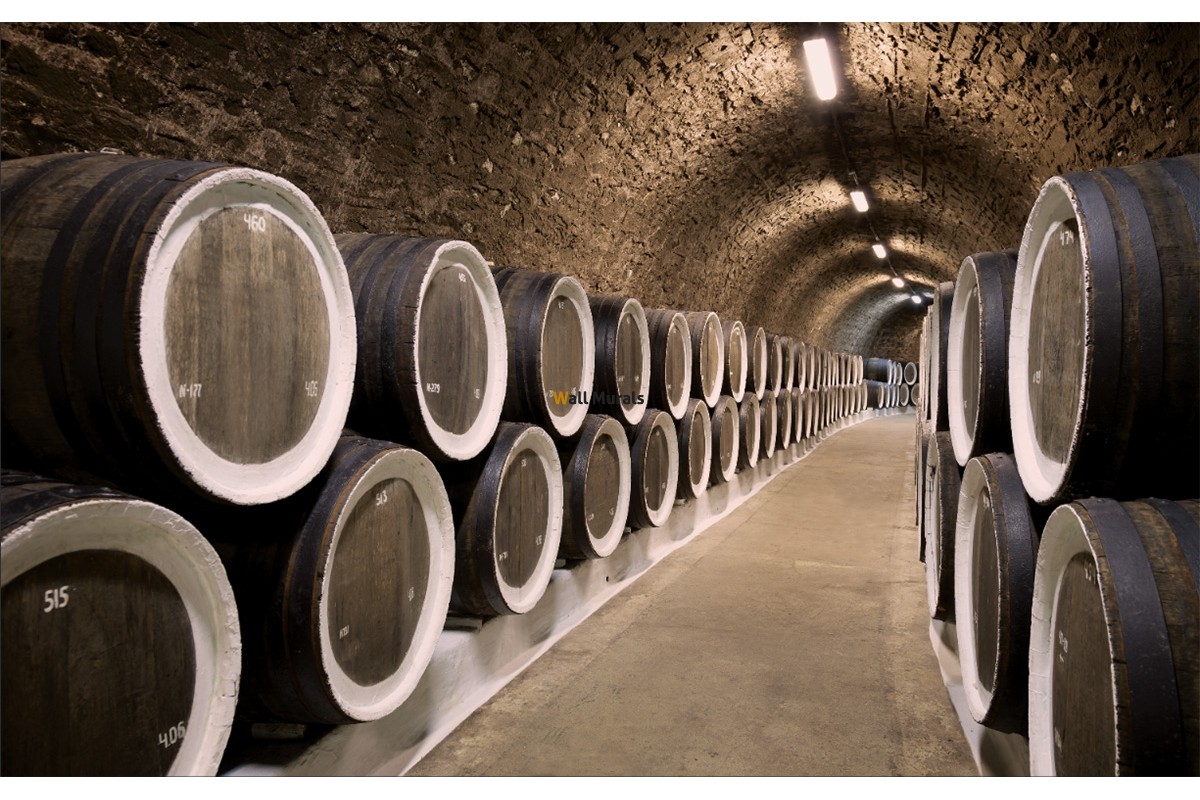 Wine Cellar - HD Wallpaper 