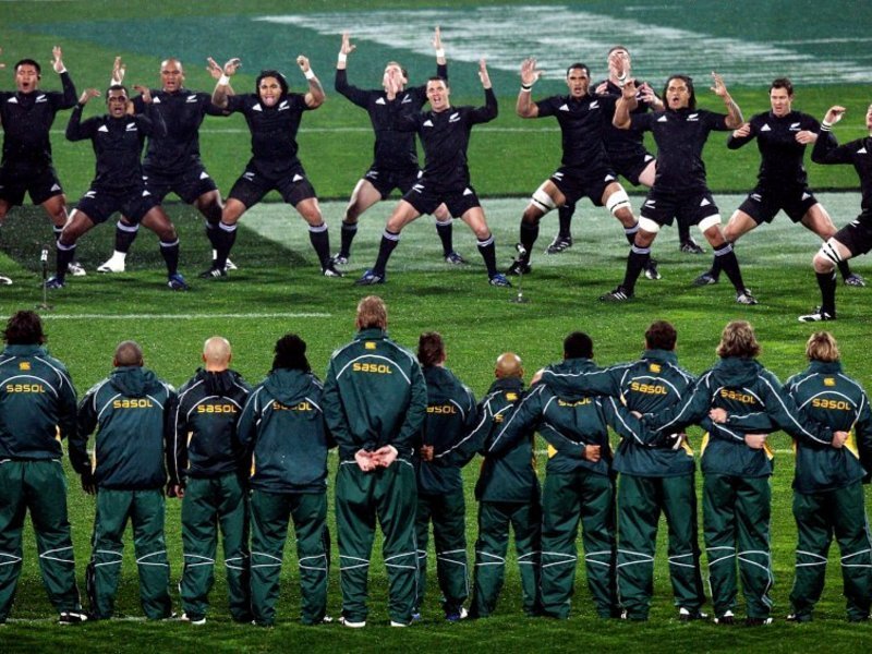 Wallpapers - Springbok And All Blacks - HD Wallpaper 