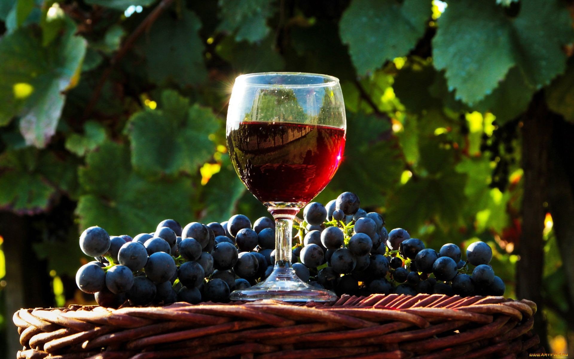 High Resolution Wine Hd Wallpaper Id - Grape Wine - HD Wallpaper 