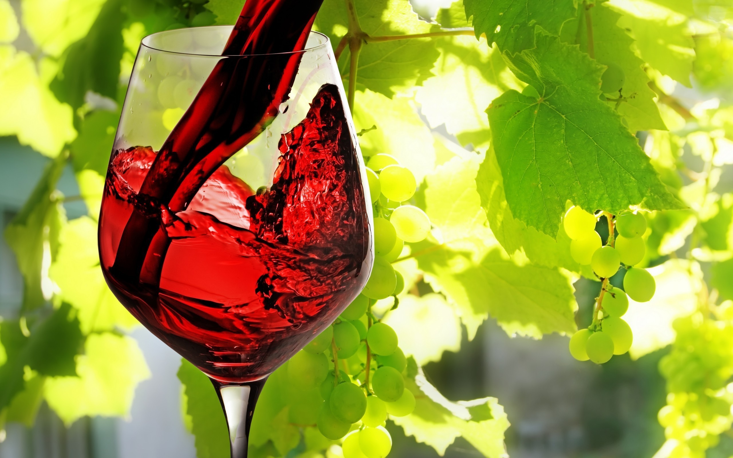 Grapes And Wine - HD Wallpaper 