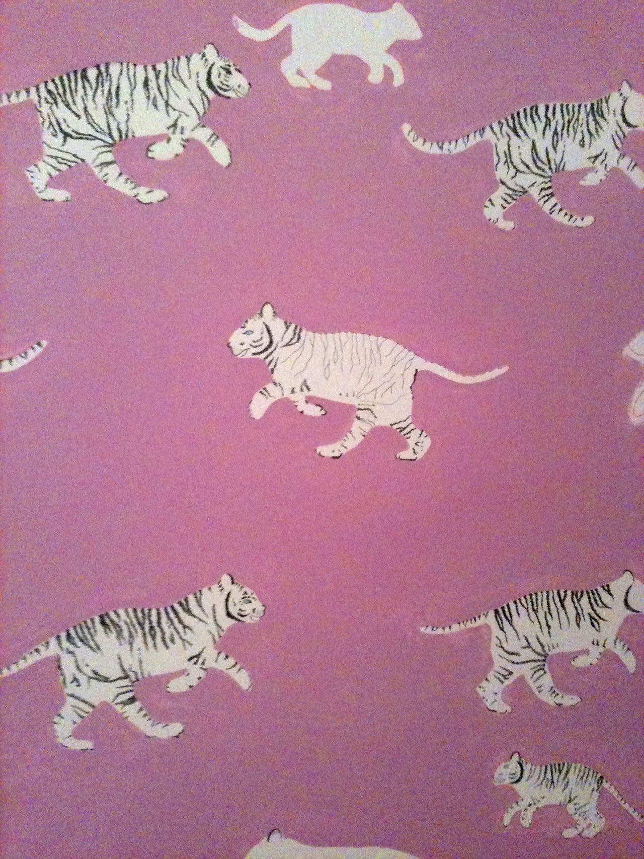 Scalamandre Zebra Print Wallpaper Scalamandre Zebra - HD Wallpaper 