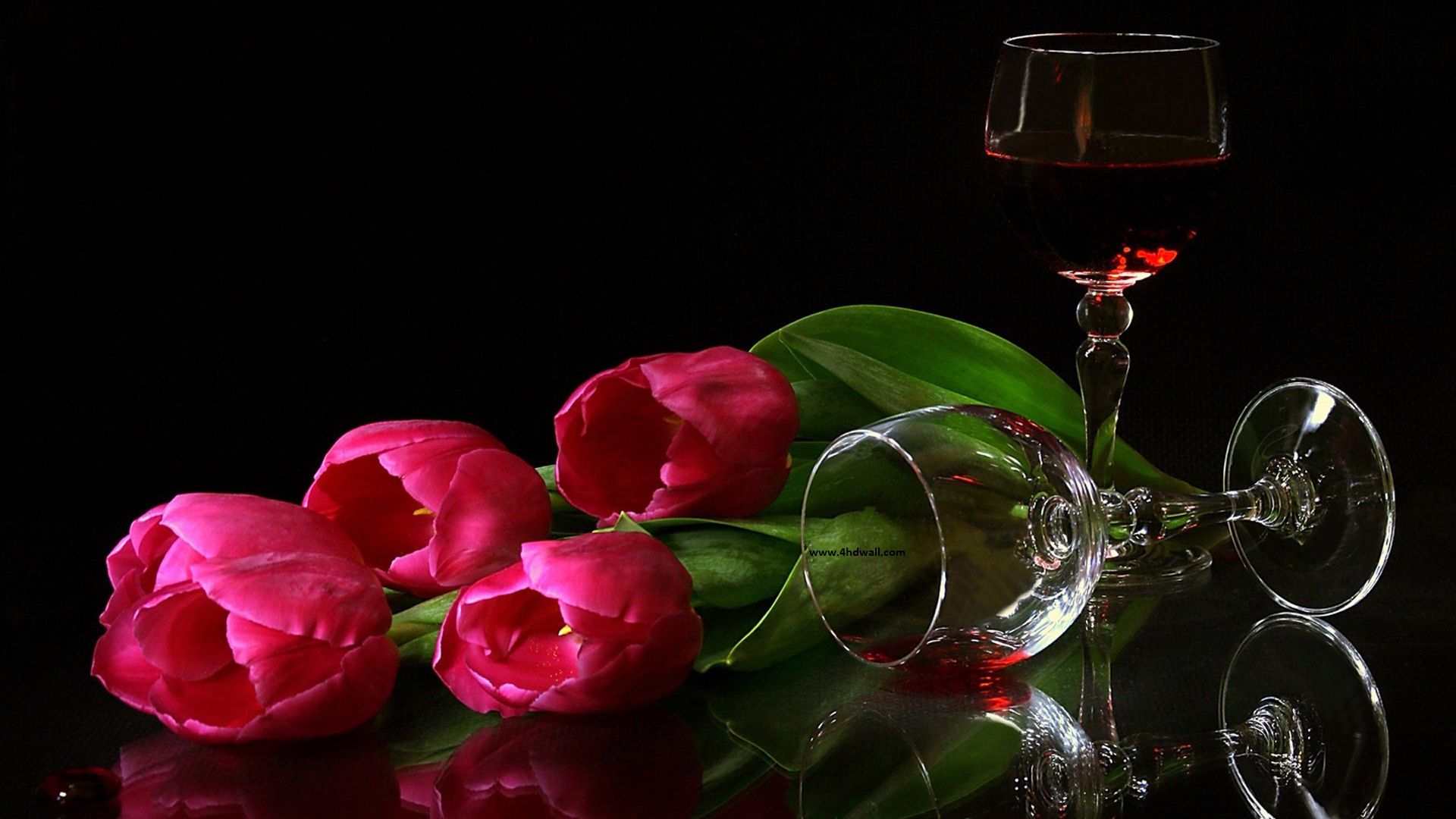 New Flowers Pic Hd - HD Wallpaper 