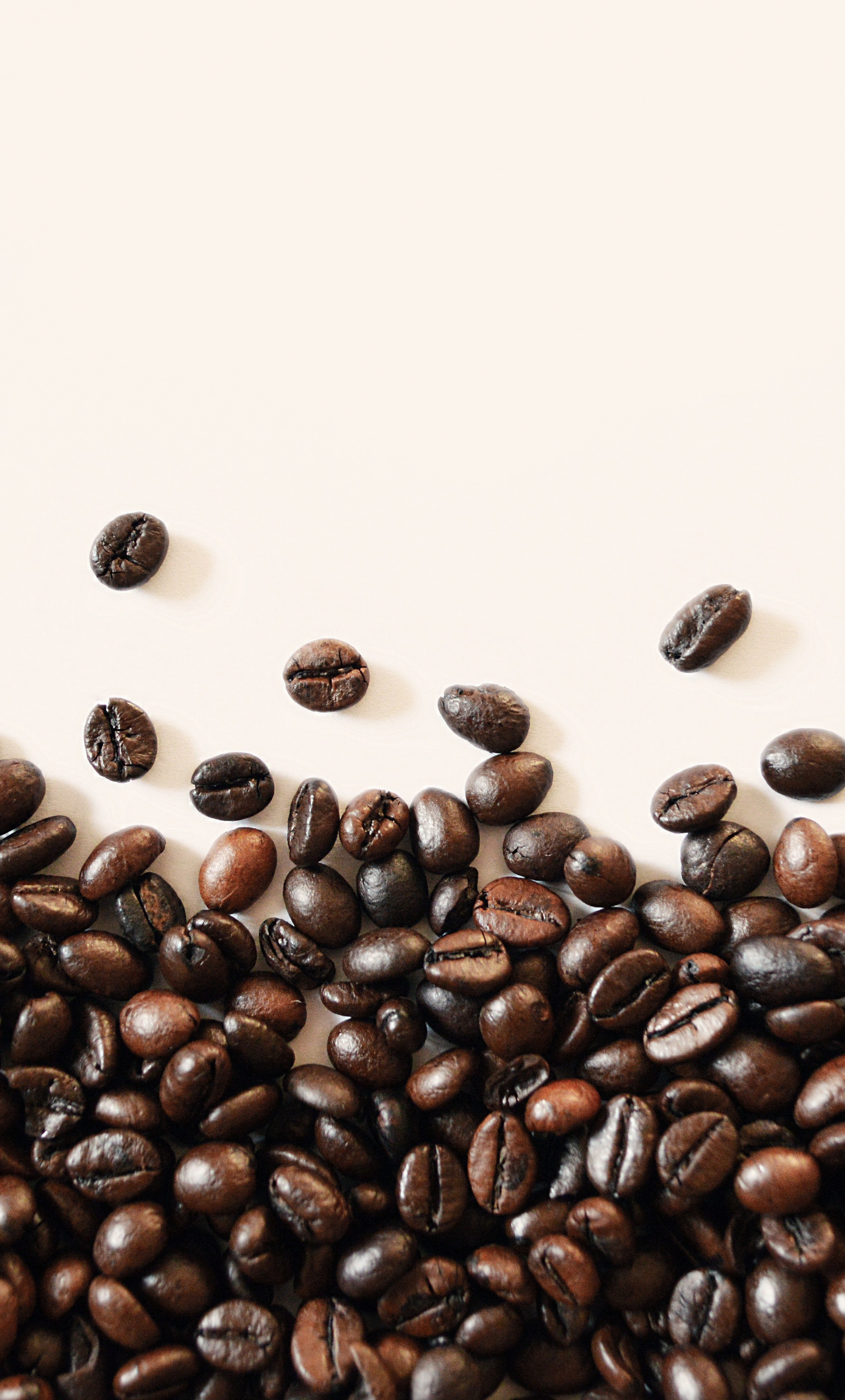 Coffee Bean - HD Wallpaper 
