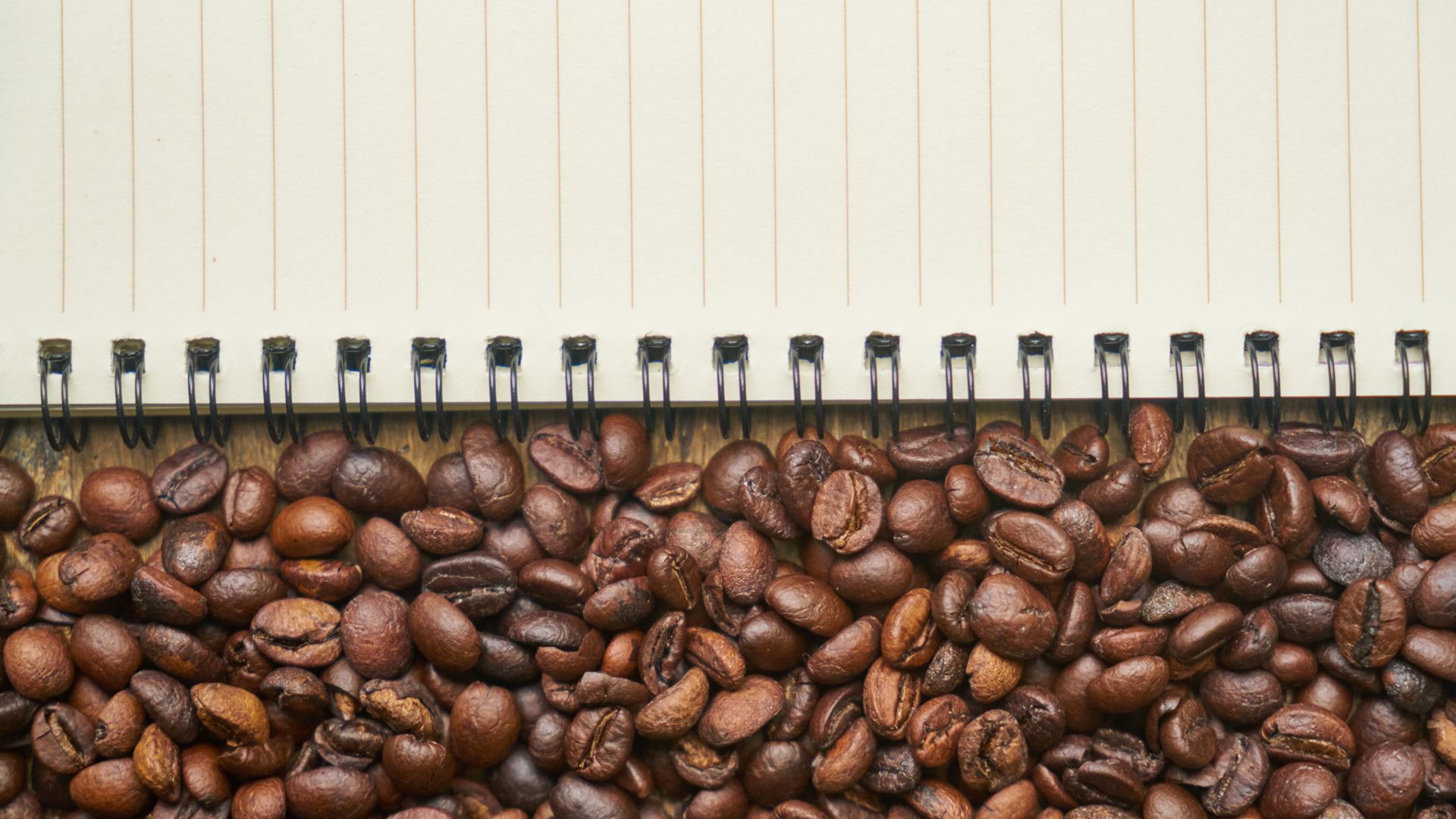 Coffee Bean With Notebook - Coffee - HD Wallpaper 