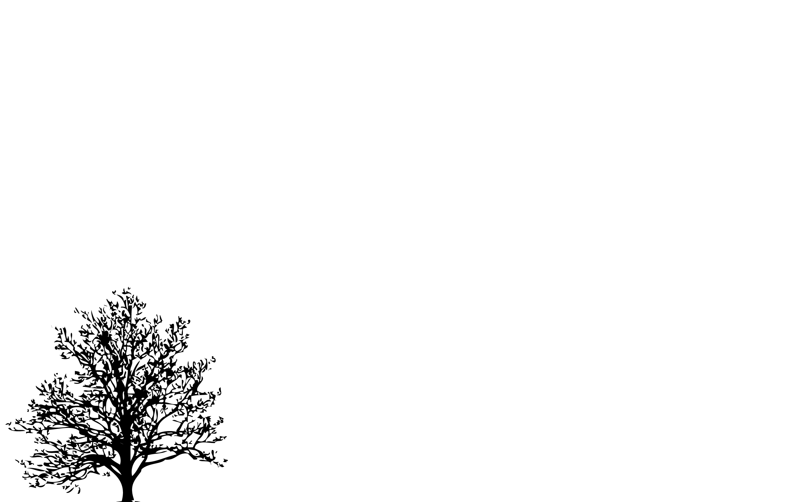 Black And White Tree Wallpaper - 2560x1600 Wallpaper Black And White Tree Wallpaper - 2560x1600 Wallpaper