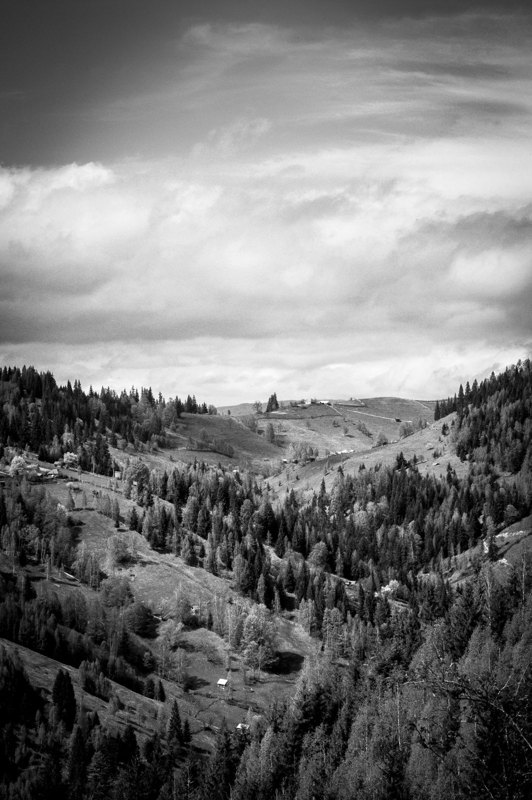 Nature Landscape Trees Clouds Mountains Black And White - Romania Black And White - HD Wallpaper 