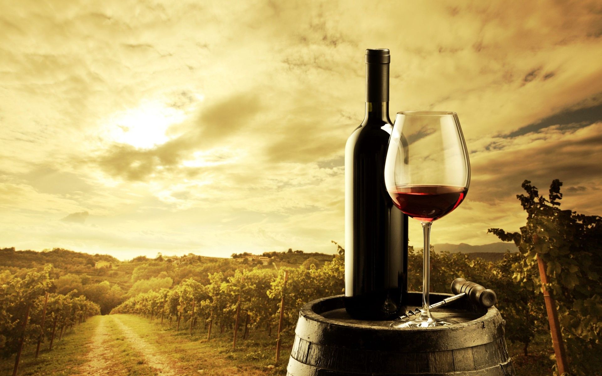 Sj - Discovery Of A Wine Is Of Greater Moment Than The Discovery - HD Wallpaper 