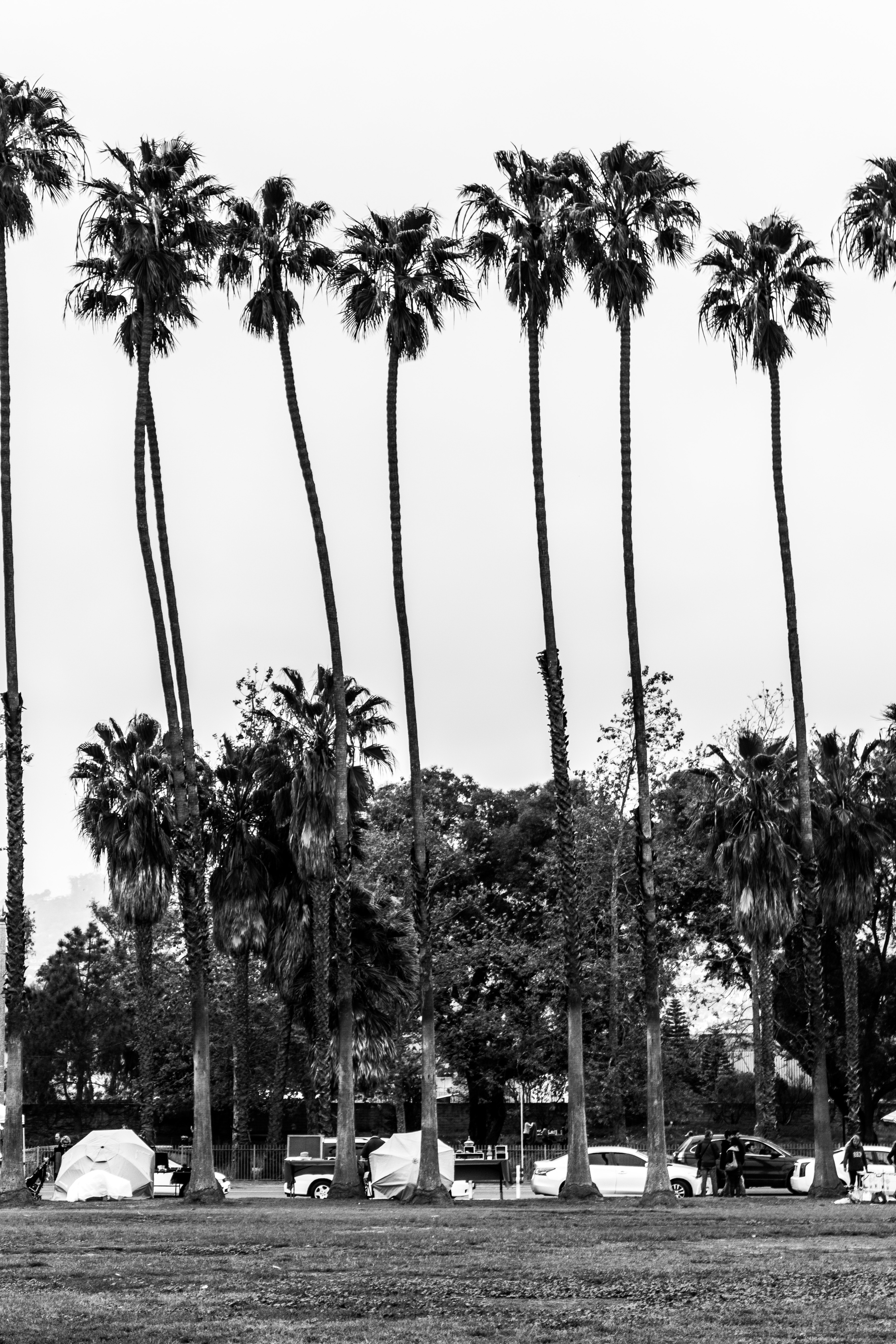 Black And White California - HD Wallpaper 