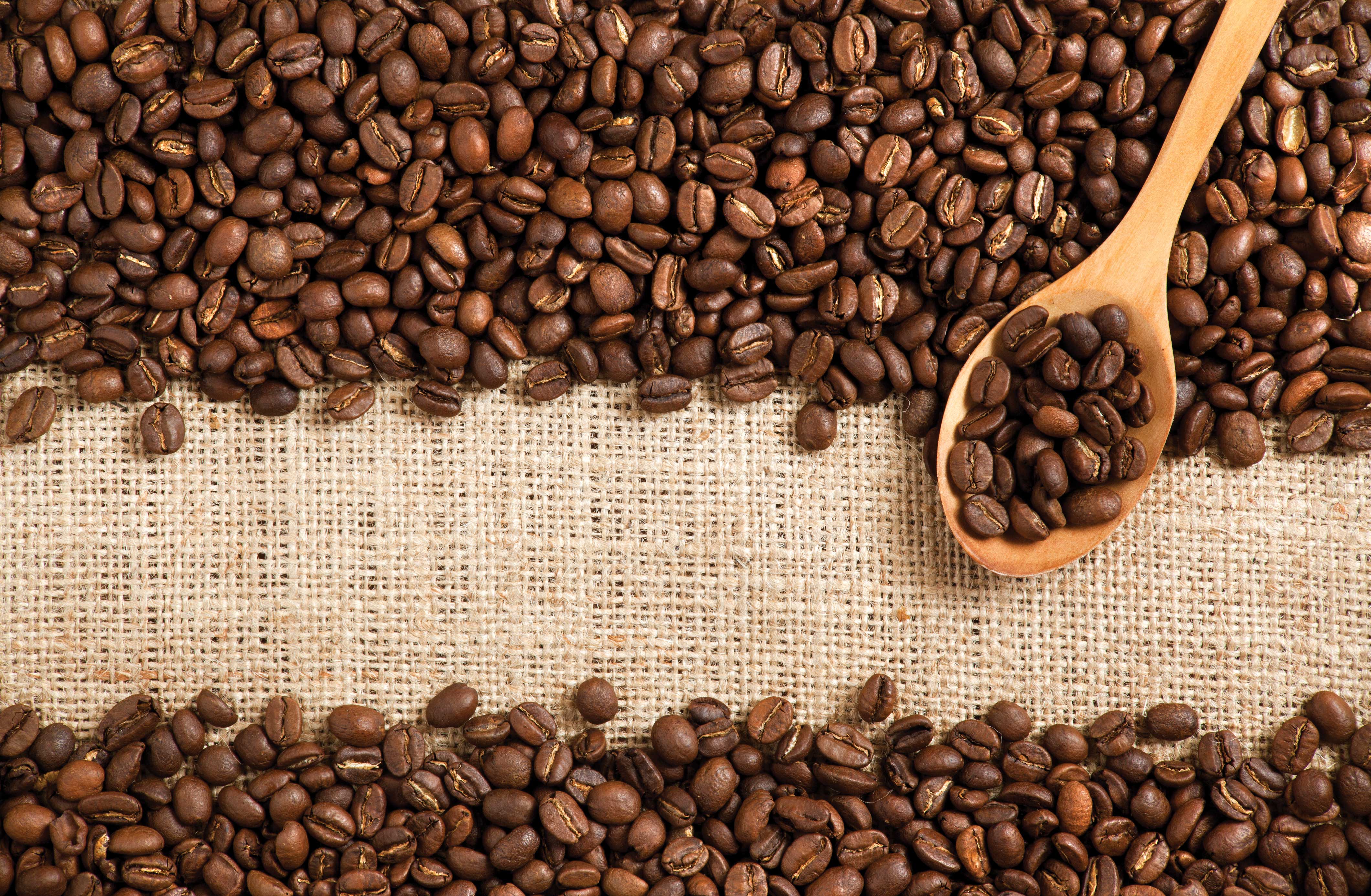 Coffee Beans - HD Wallpaper 