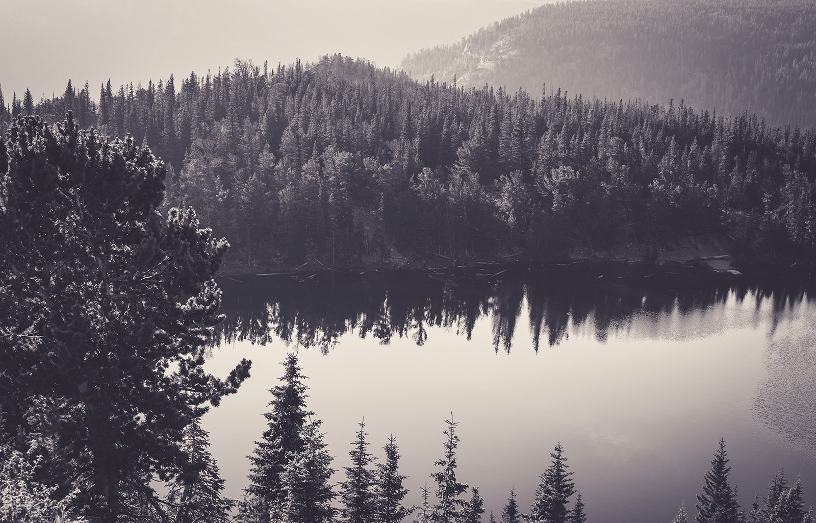 Black And White Nature Wallpaper - Black And White Nature Background - 1600x1025 Wallpaper Black And White Nature Wallpaper - Black And White Nature Background - 1600x1025 Wallpaper