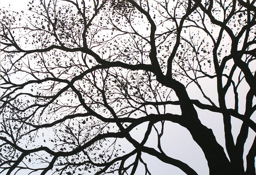 Trees Black And White - 900x615 Wallpaper Trees Black And White - 900x615 Wallpaper