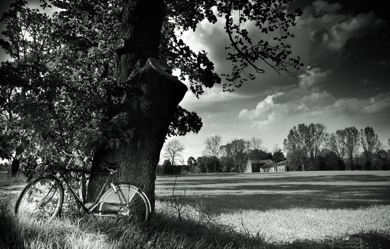 Photo Wallpaper Field, Landscape, Nature, Bike, Tree, - Black And White Nature Hd - HD Wallpaper 
