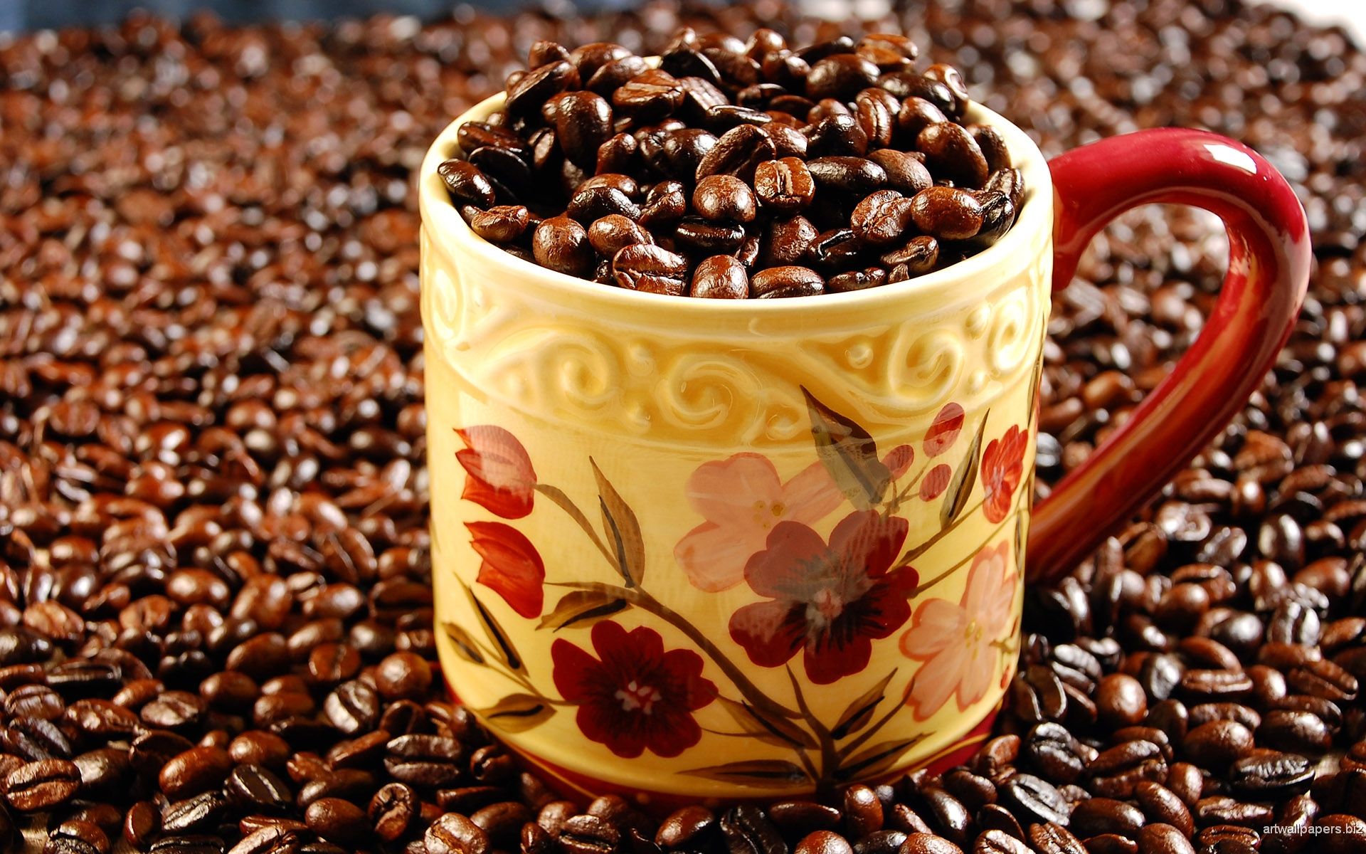 Coffee Beans - HD Wallpaper 
