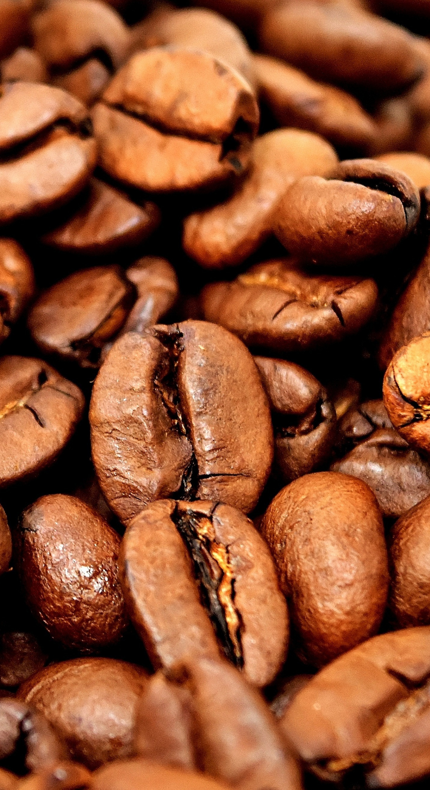 Coffee Beans, Close Up, Wallpaper - HD Wallpaper 