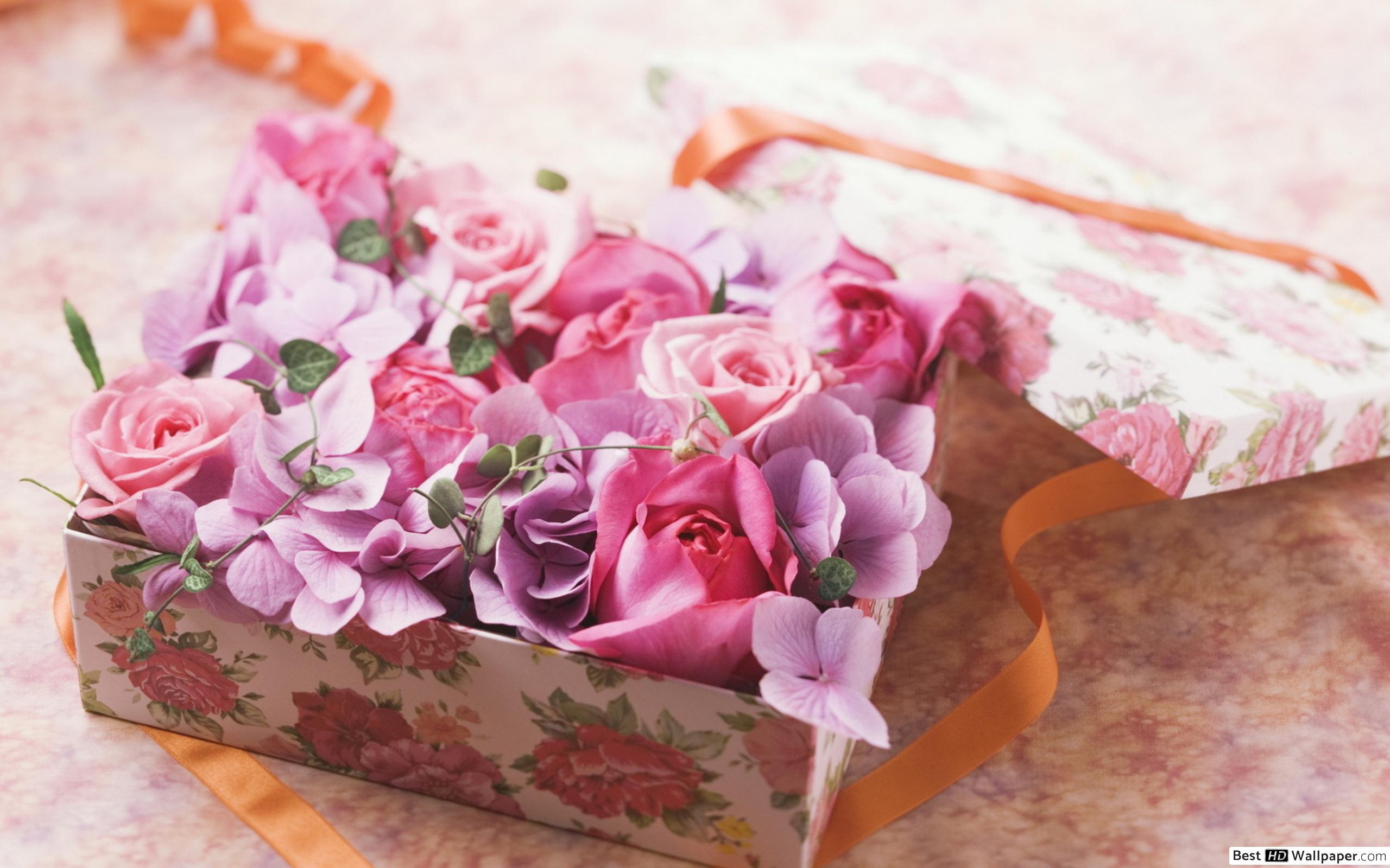 Flower And Gift Photography - HD Wallpaper 