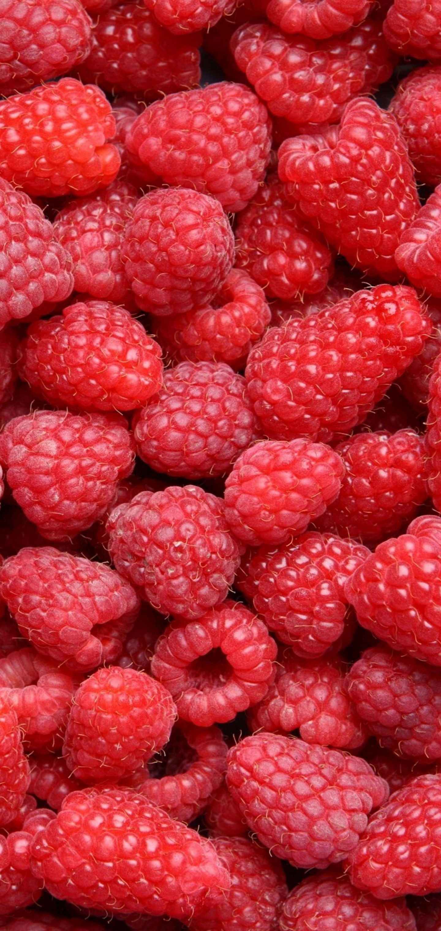 Hd Wallpaper For Mobile Phone 101 - HD Wallpaper 