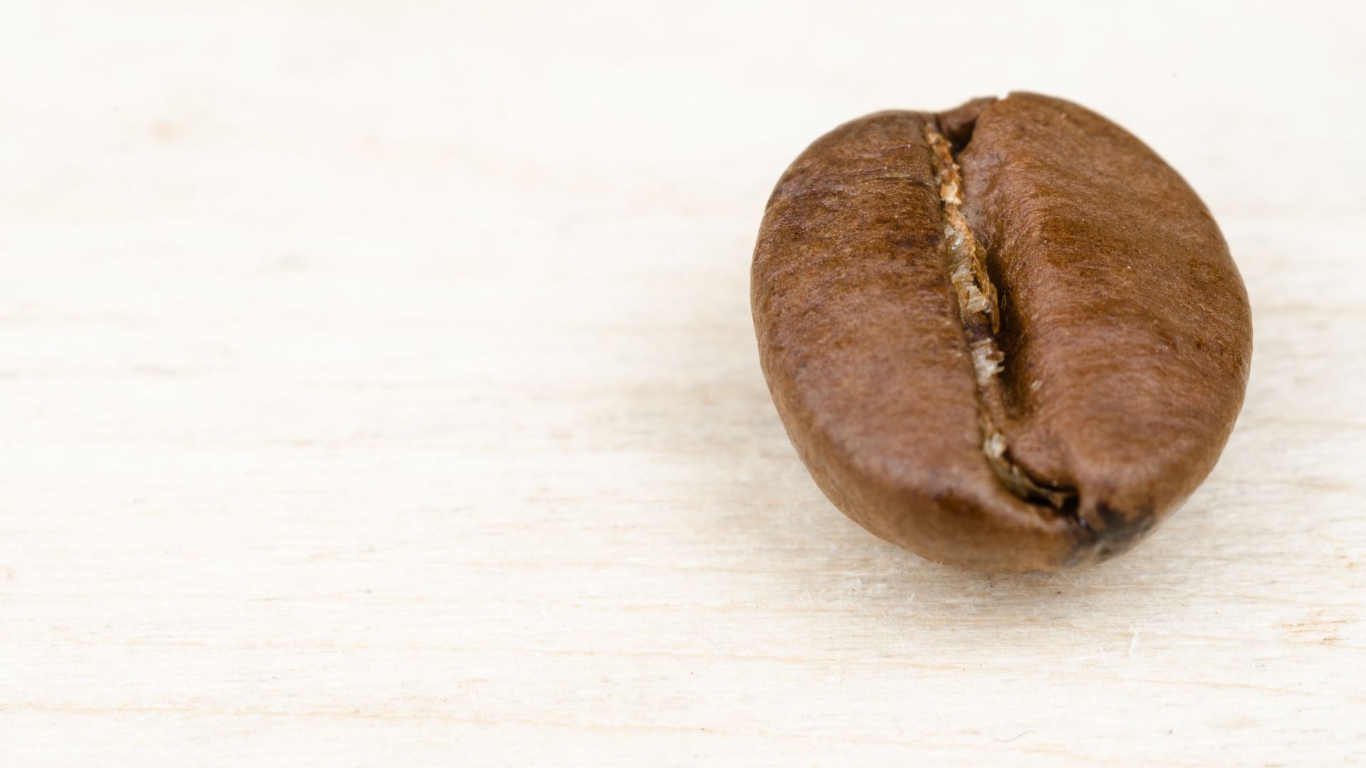 Coffee Bean Closeup Hd Wallpaper - HD Wallpaper 
