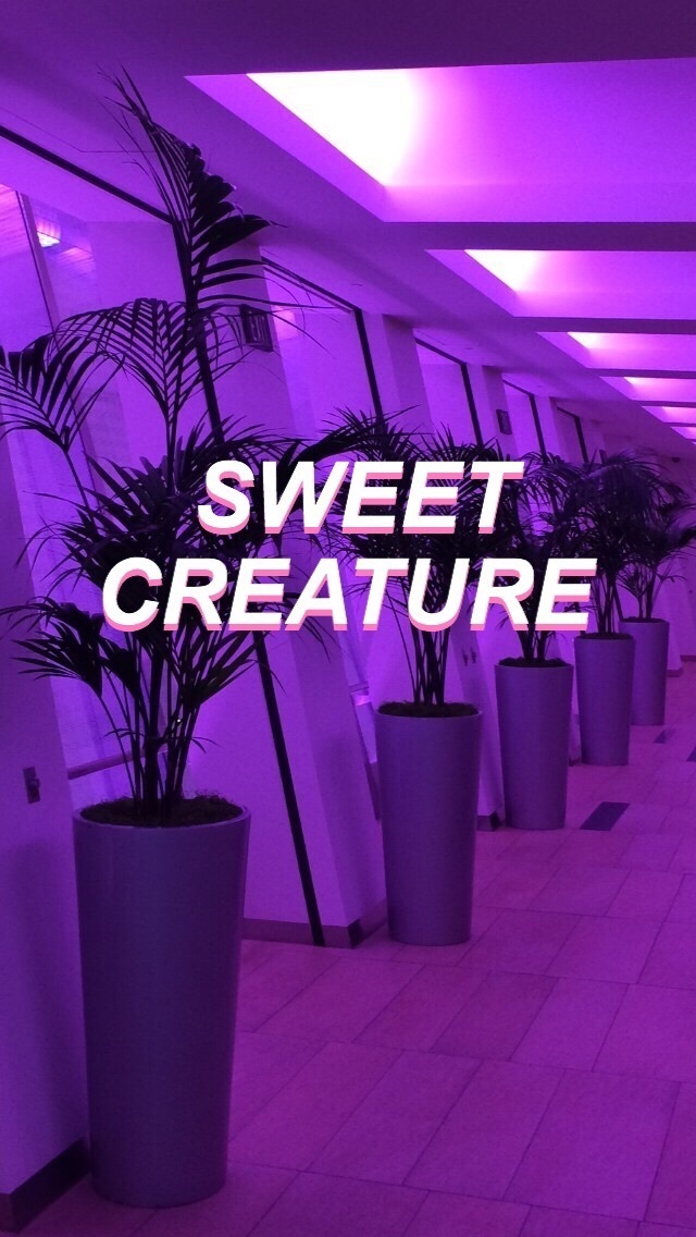 Wallpaper, Neon, And Purple Image - Coup D Etat Logo - HD Wallpaper 