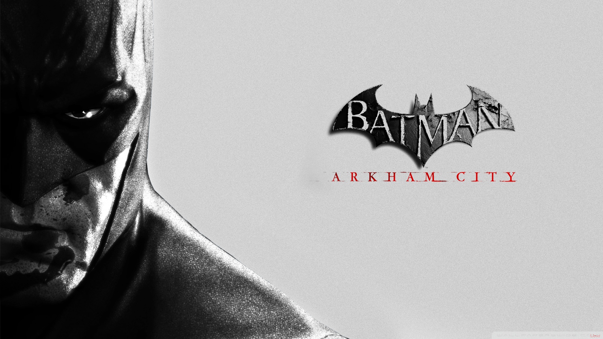 Batman Arkham City Background - HD Wallpaper 