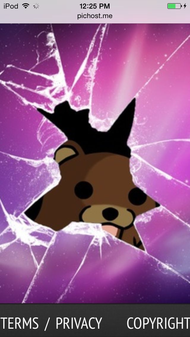 Teddy Broken Glass - HD Wallpaper 