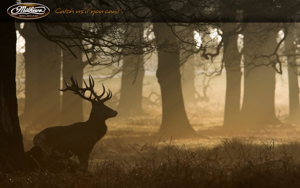 Bow Hunting Background Wallpaper Pic Hwb439158 - Mathews Background - HD Wallpaper 