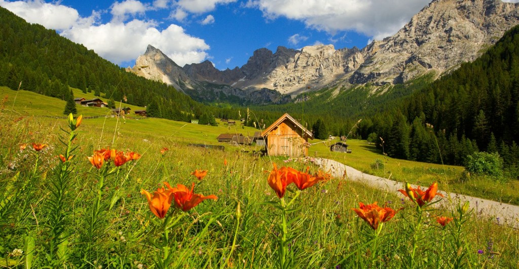 Dolomiti May - HD Wallpaper 