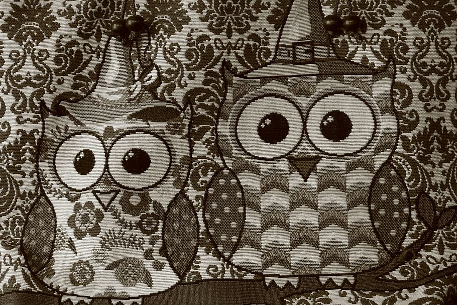 Owls, Birds, Animal, Design, Cartoon, Cute, Wildlife, - รูป การ ออกแบบ ภาพ สัตว์ - HD Wallpaper 
