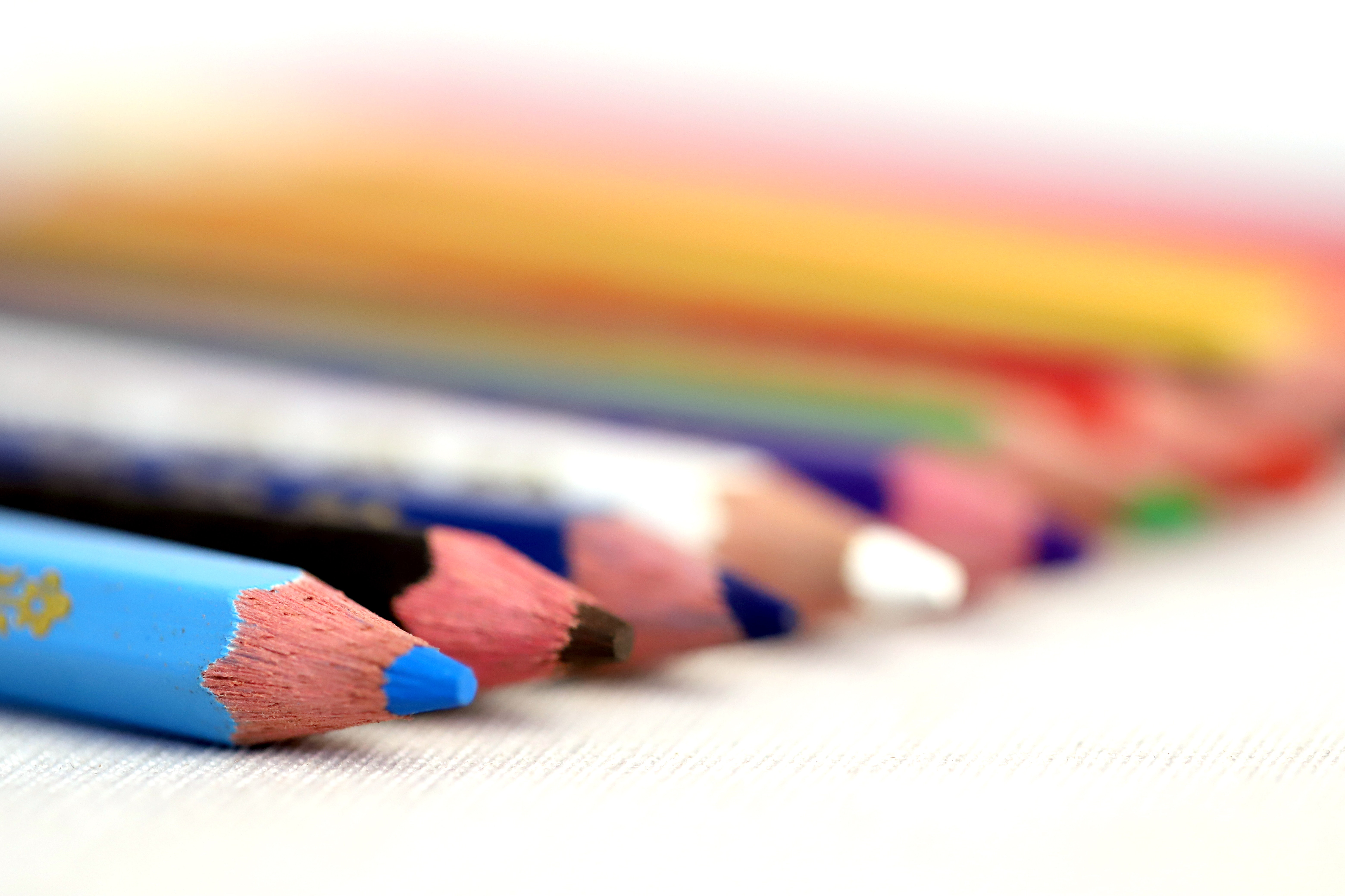 Macro Photography - HD Wallpaper 