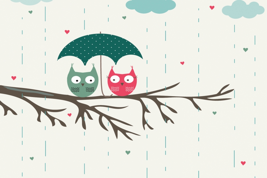 Cartoon Owl Desktop Wallpaper - Wallpaper - HD Wallpaper 