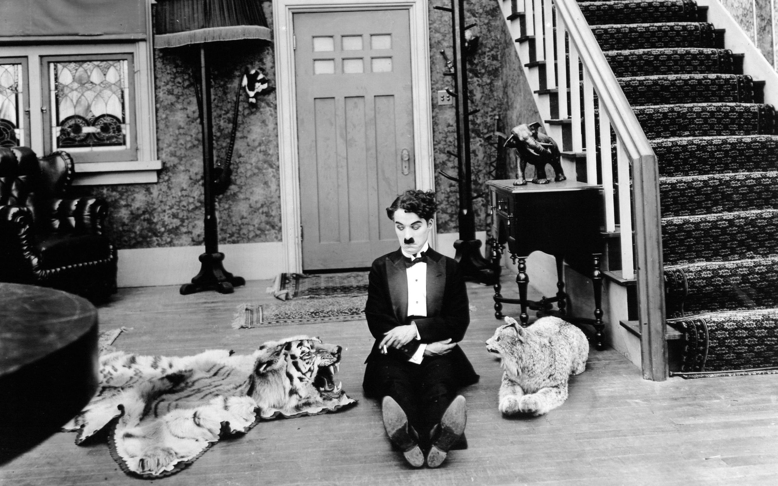 Black And White Tigers Charlie Chaplin Wallpaper - Charlie Chaplin Drunk - HD Wallpaper 