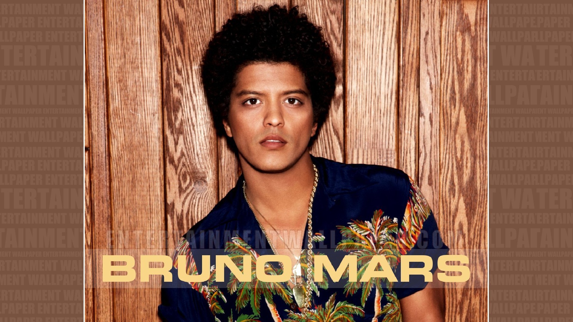 Bruno Mars Wallpaper - Freida Pinto Bruno Mars - HD Wallpaper 