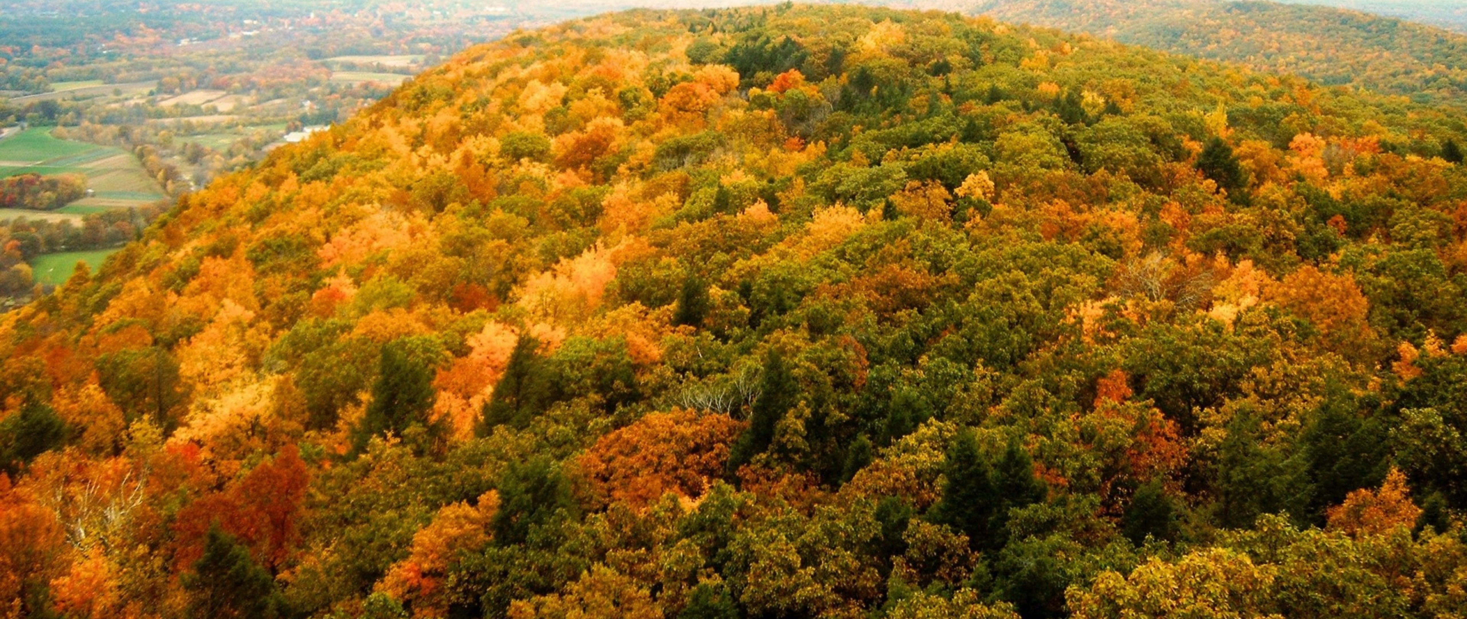 Indian Summer - HD Wallpaper 