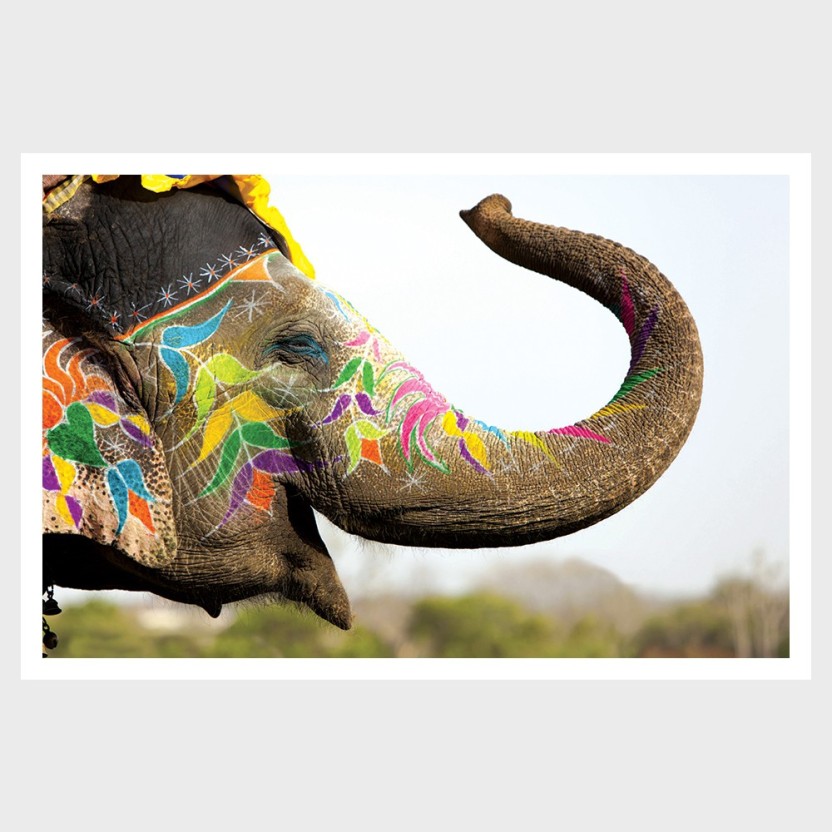 Elephant Covered In Paint - HD Wallpaper 