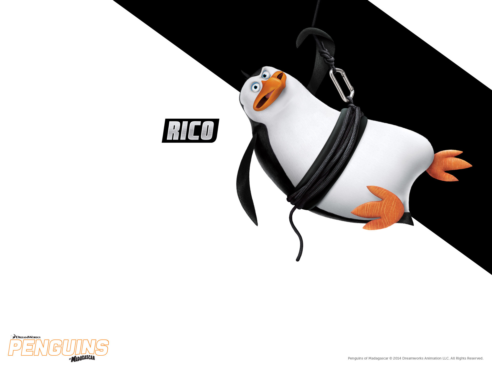 Dreamworks Animation S Penguins Of Madagascar - Die Pinguine Aus Madagascar Rico - HD Wallpaper 