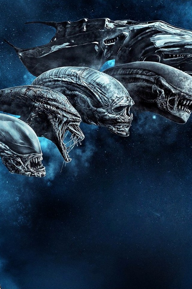 Alien Movies - HD Wallpaper 