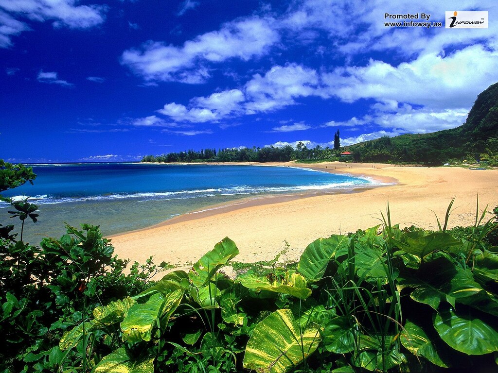 Beautiful Scenery Images Free Download - HD Wallpaper 