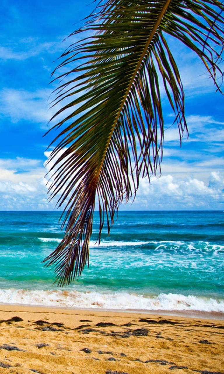 Beach - HD Wallpaper 